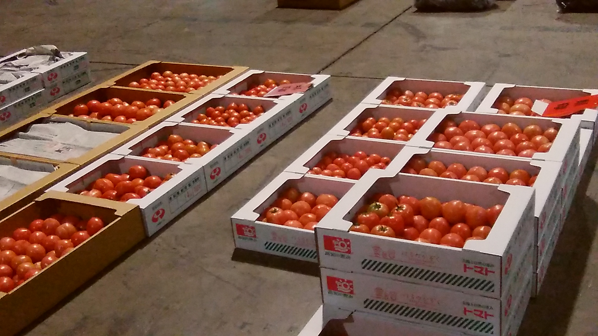 春野産フルーツトマト、ＪＡ香美夜須フルーツトマト、まほろばフルーツトマトなどの出荷