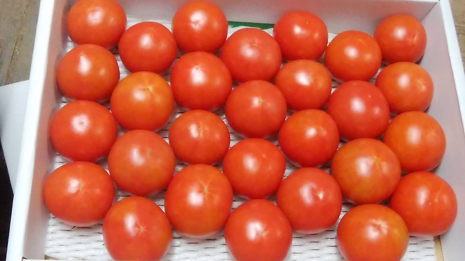 箱詰めされた高知産贅沢トマトのフルーツトマト